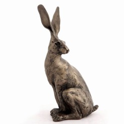 Sitting Hare-Small